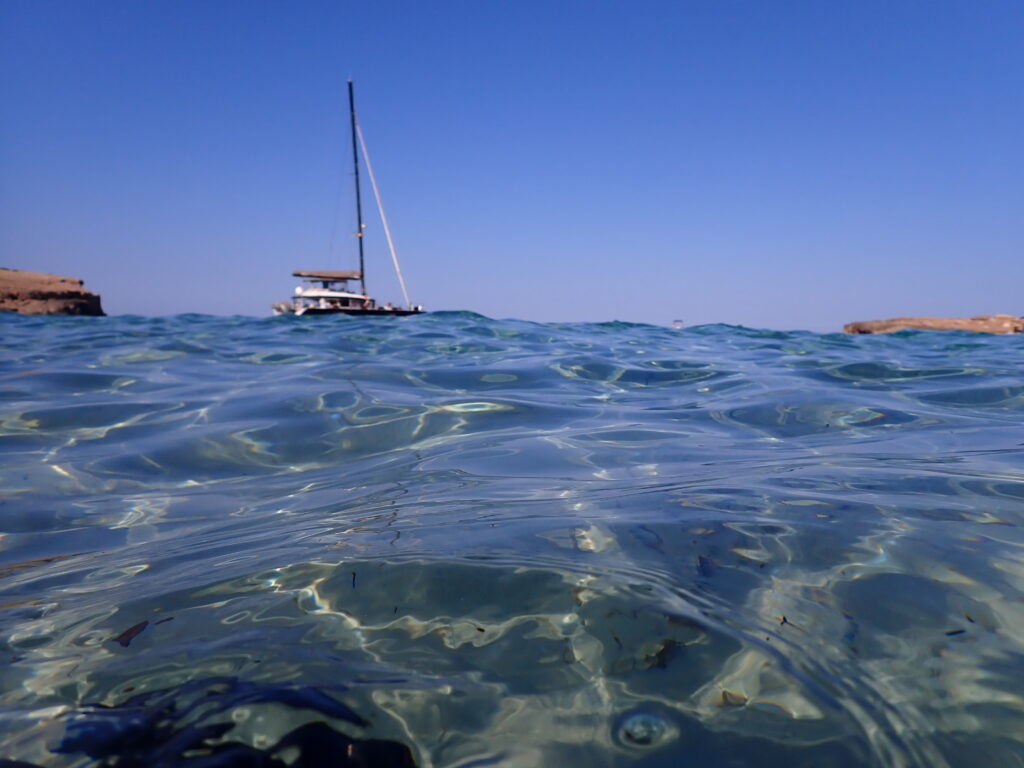 Mar en Xarxa, la nova campanya del GOB per destacar la riquesa de la Mediterrània